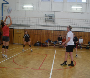 20081226 Debly, Bílá Třemešná